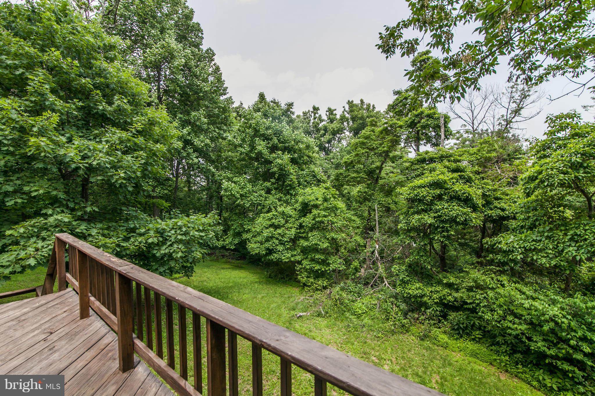 19285 Blue Ridge Mountain Road Bluemont, VA 20135 - Photo 26 of 30 Deck view
