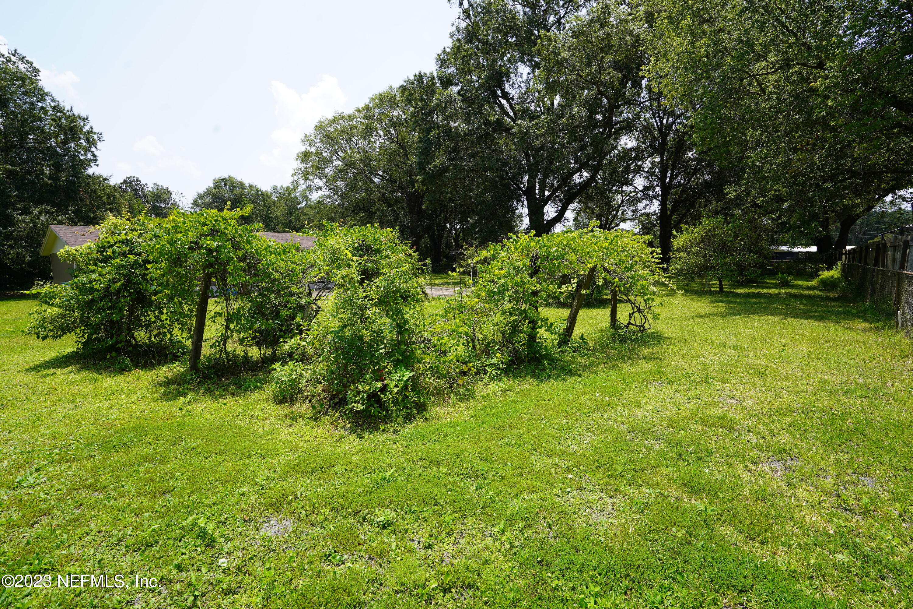 8107 Herlong Road Jacksonville, FL 32221 - Photo 34 of 36 DSC02114