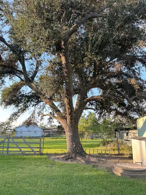 7187 Boyt Road Beaumont, TX 77713 - Photo 33 of 37