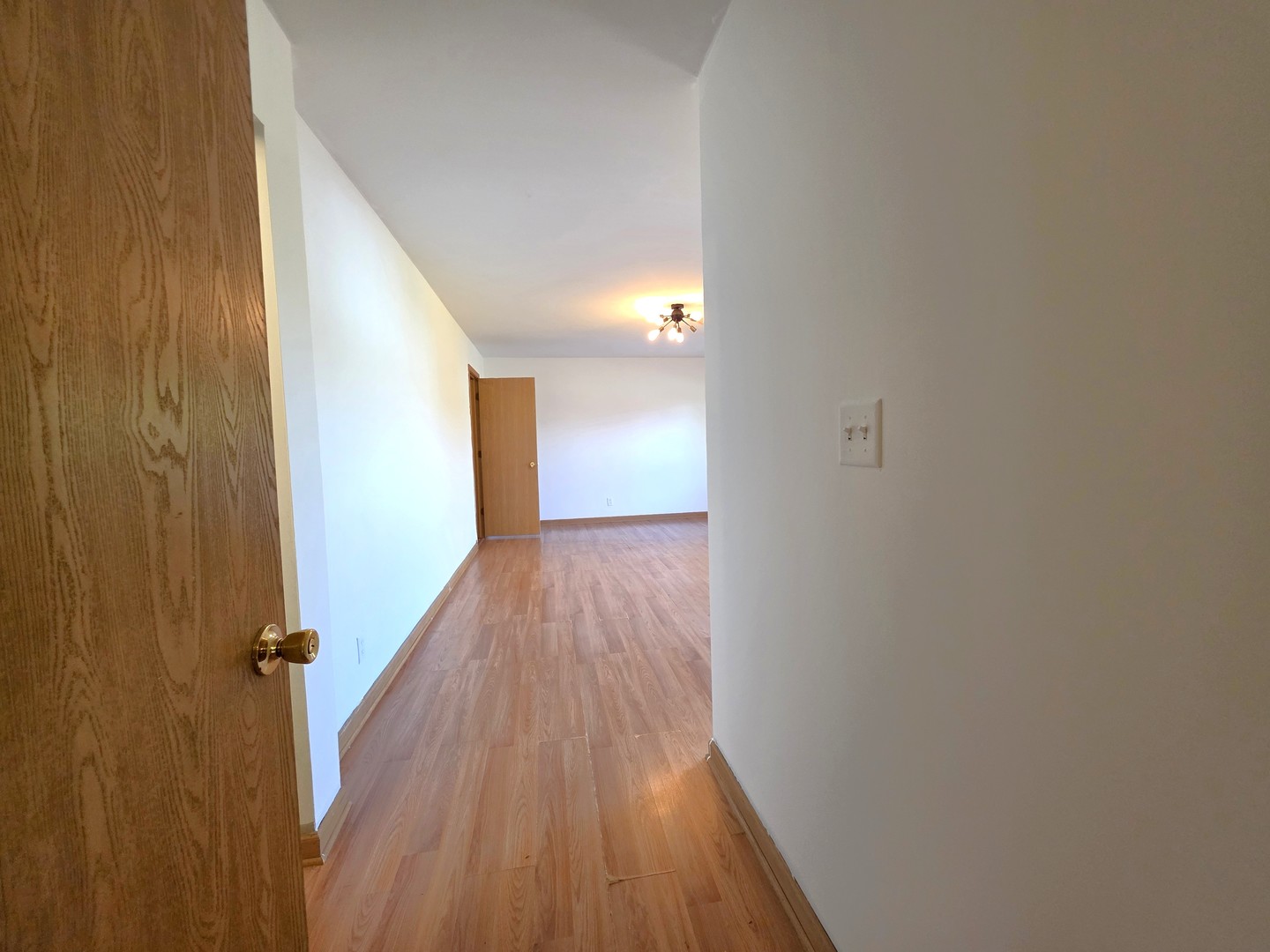 2513 Ridgefield Drive Belvidere, IL 61008 - Photo 13 of 35 a view of a hallway with wooden floor