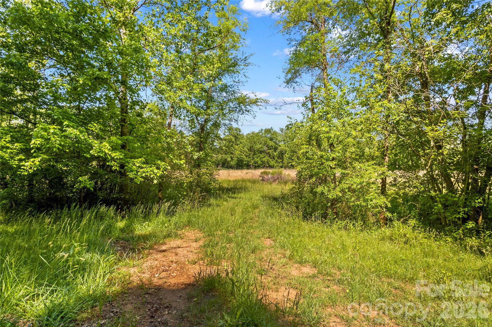 711 Spring Pointe Drive Stony Point, NC 28678 - Photo 38 of 47 a view of a garden