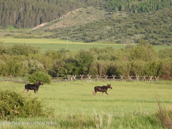 $1,995,000 | 484 Pheasant Tail, Thayne, WY 83127
