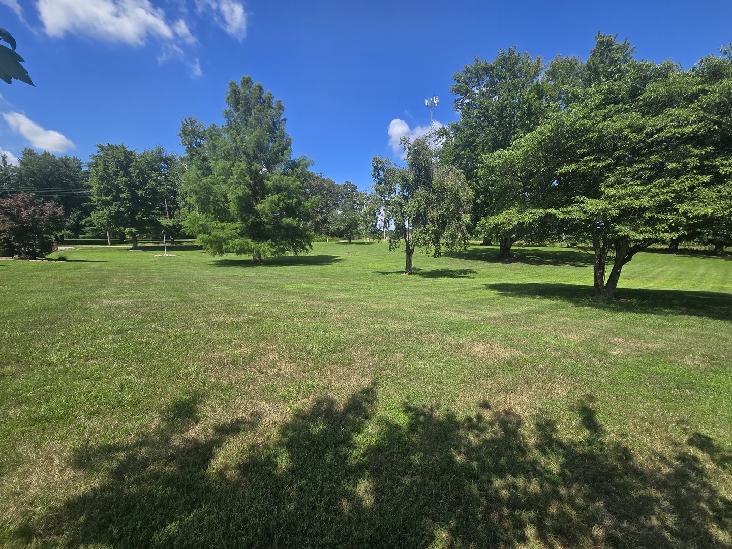 11957 East Harrison Road Mount Vernon, IL 62864 - Photo 6 of 63