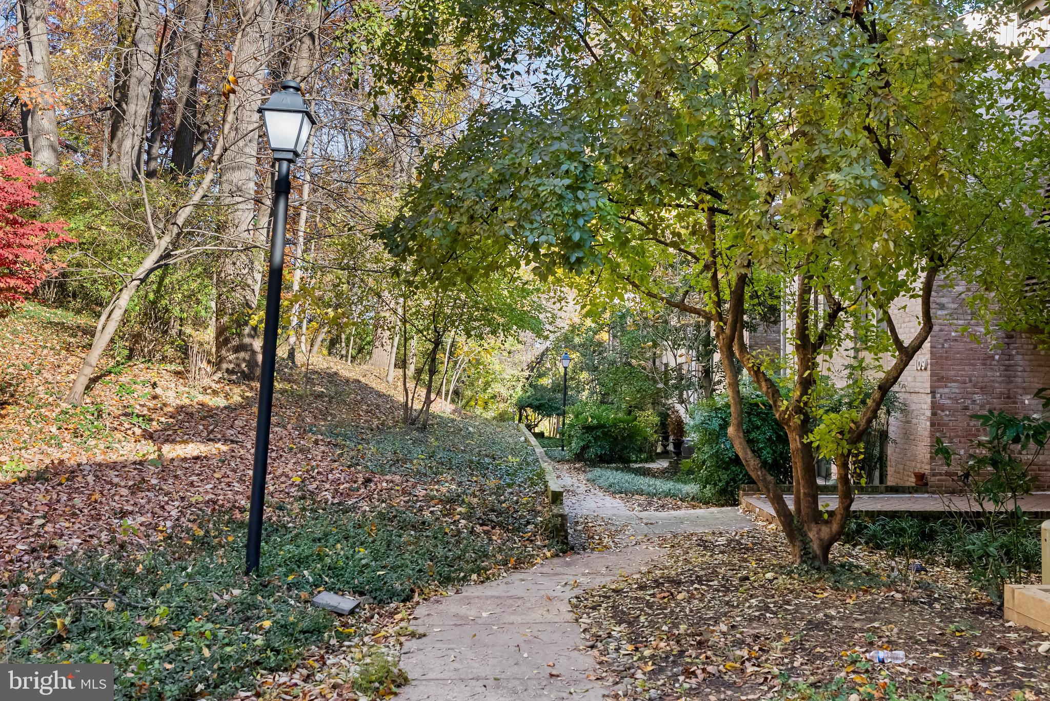 110 Cross Keys Road, Unit F Baltimore, MD 21210 - Photo 15 of 47 a view of a road with plants and trees