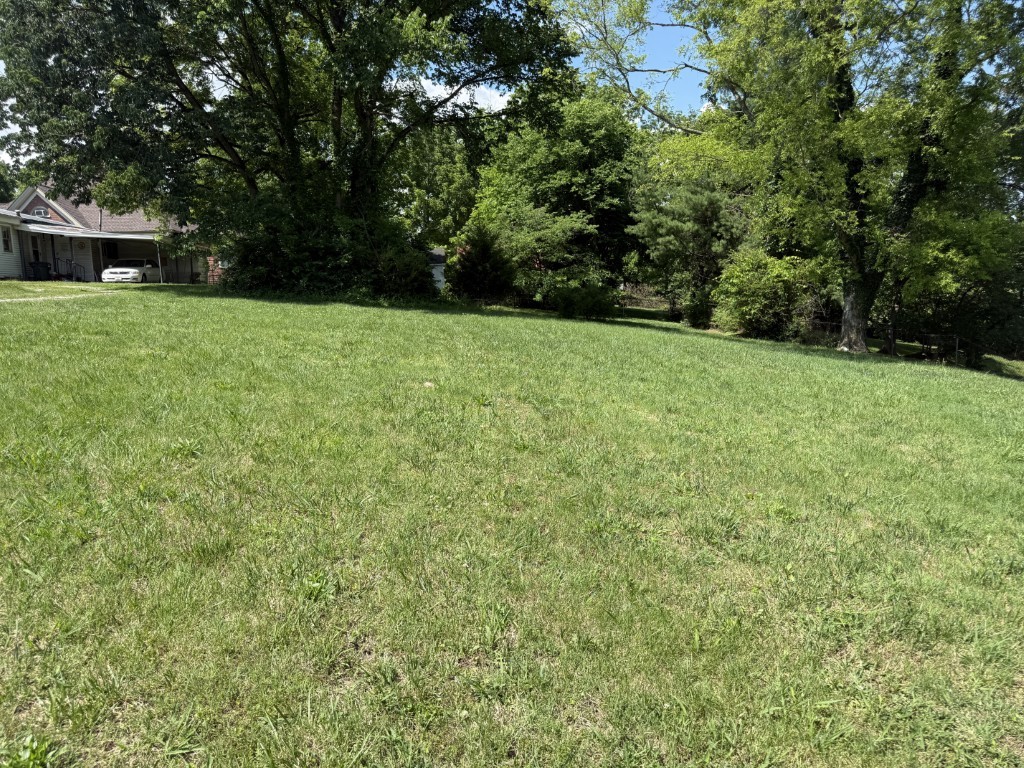 105 3rd Avenue East Springfield, TN 37172 - Photo 20 of 21