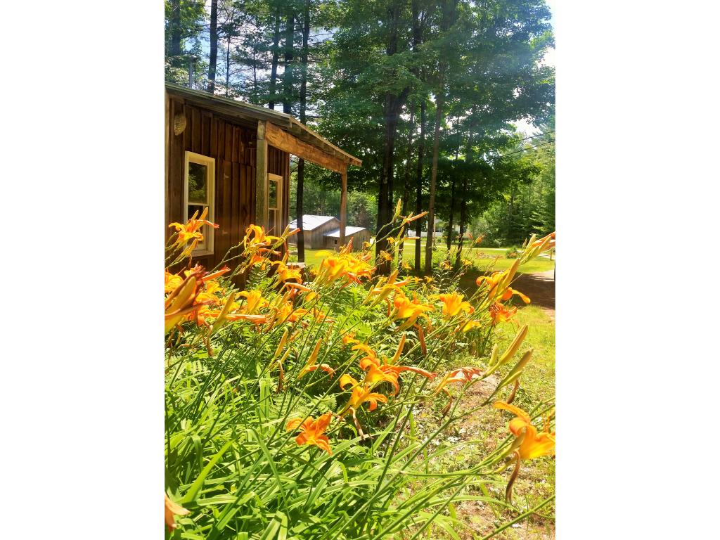 259 Shem Valley Road Alexandria, NH 03222 - Photo 36 of 36