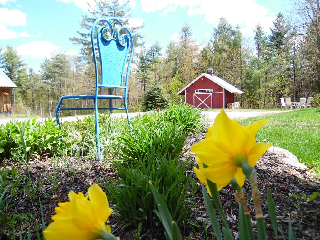259 Shem Valley Road Alexandria, NH 03222 - Photo 7 of 36