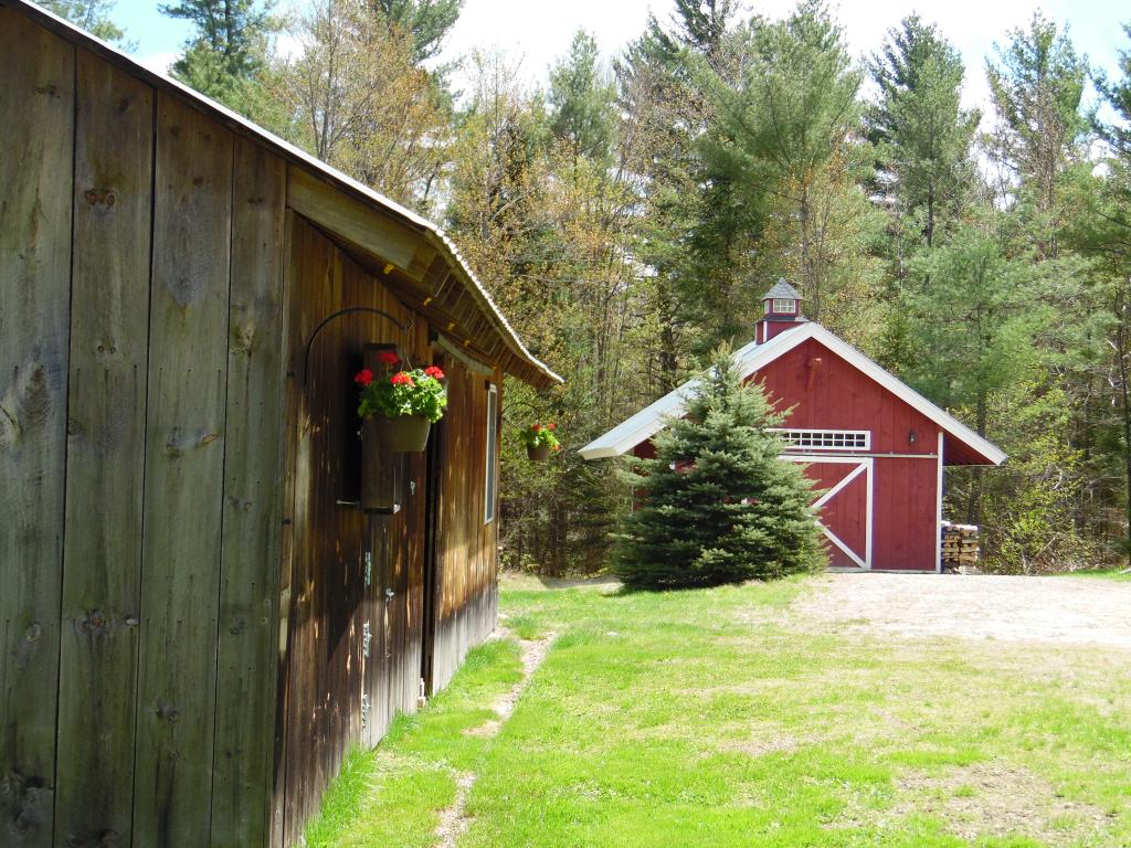 259 Shem Valley Road Alexandria, NH 03222 - Photo 8 of 36
