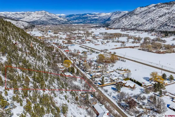 a tree in the middle of a yard