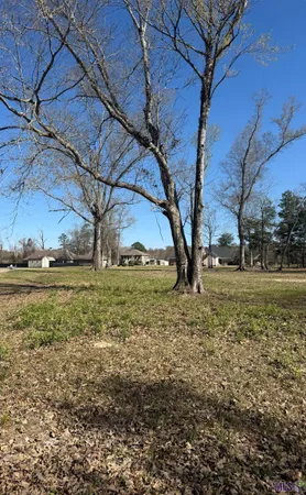$34,500 | 20316 Sophia Noel, Springfield, LA 70462