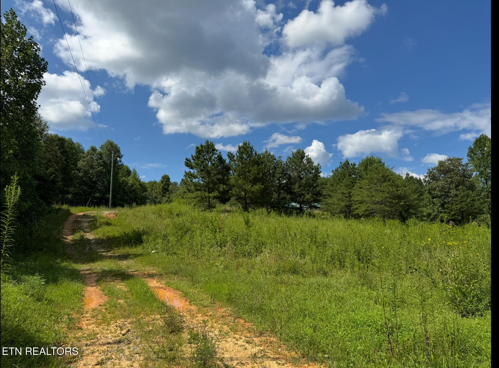 351 White Plains Road Vonore, TN 37885 - Photo 4 of 15 IMG_9237