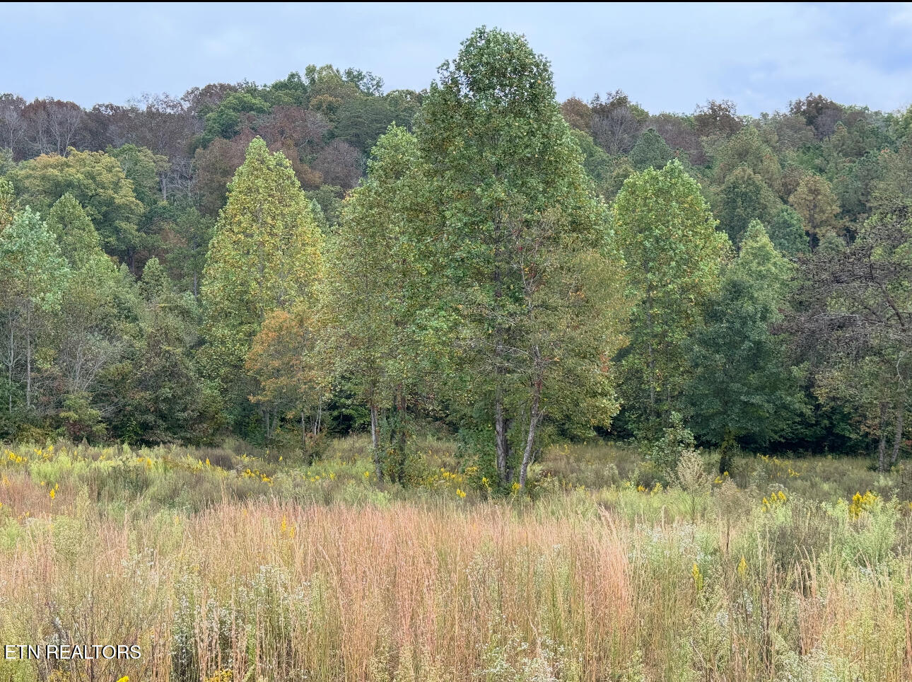 351 White Plains Road Vonore, TN 37885 - Photo 5 of 15 IMG_9244