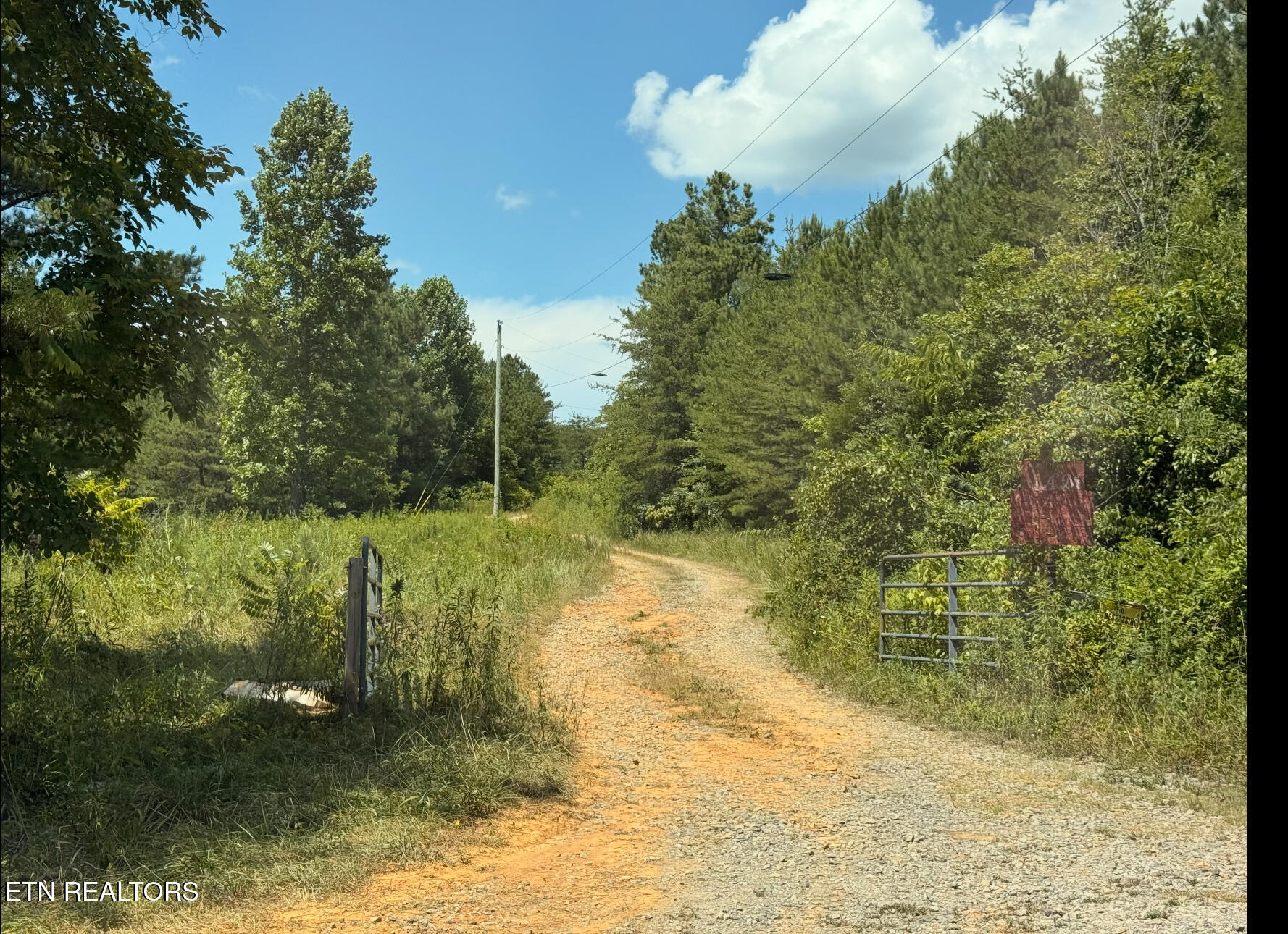 351 White Plains Road Vonore, TN 37885 - Photo 6 of 15 IMG_9238