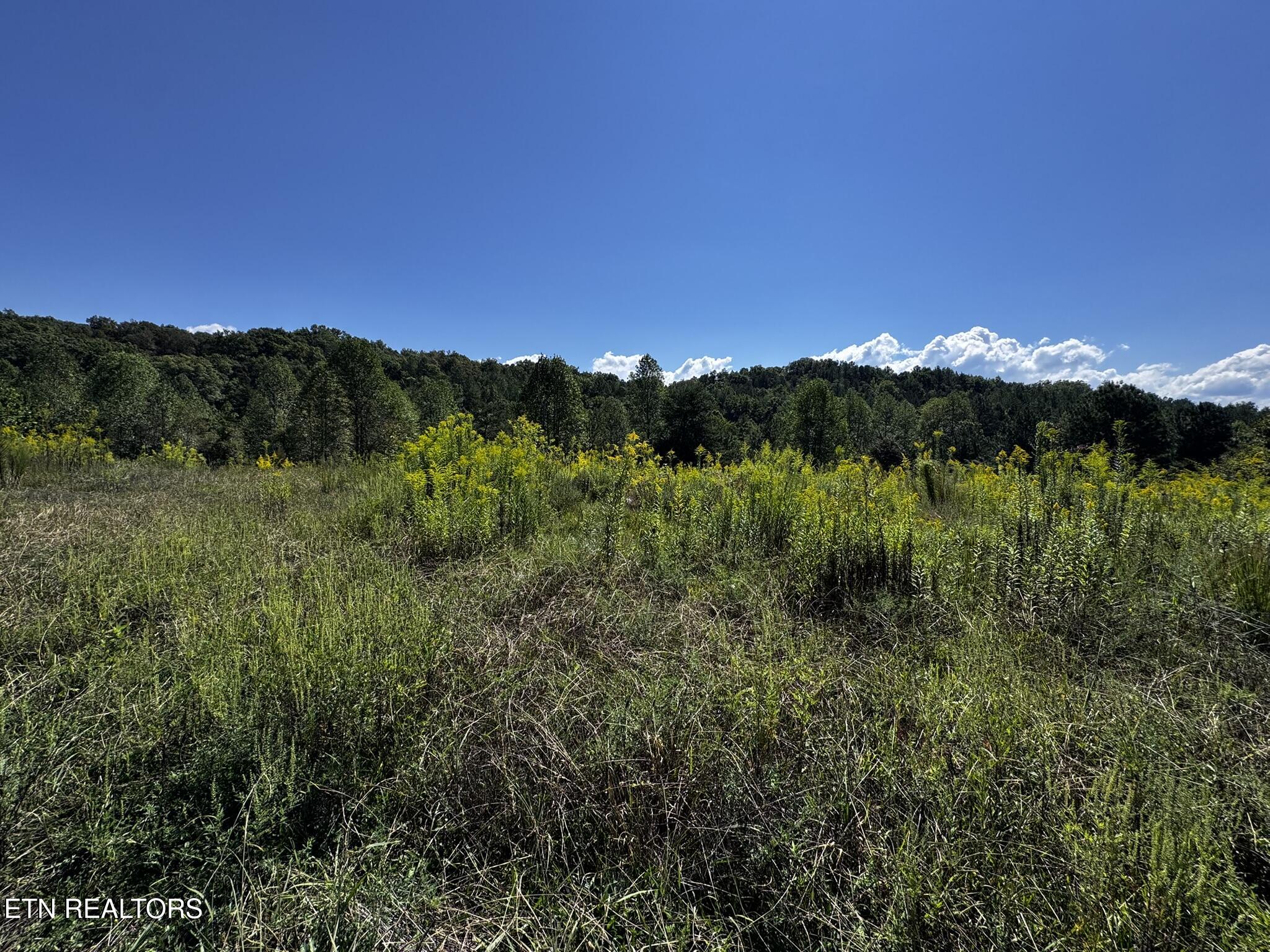351 White Plains Road Vonore, TN 37885 - Photo 7 of 15 IMG_9195