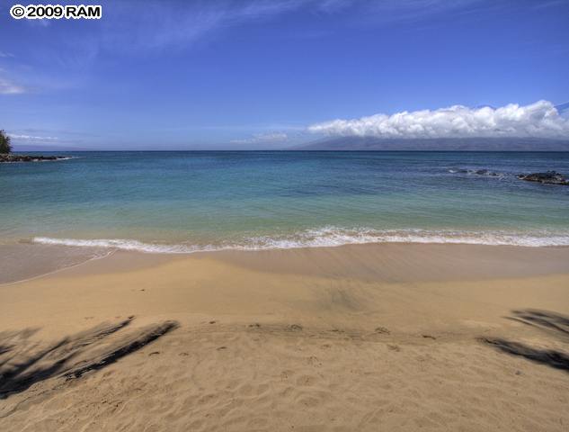 4909 Lower Honoapiilani Road, Unit D5 Lahaina, HI 96761 - Photo 3 of 25 Gallery Image 3