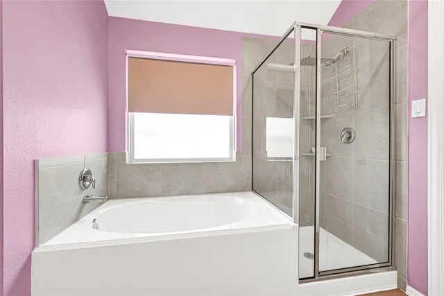 a bathroom with a bath tub and a shower