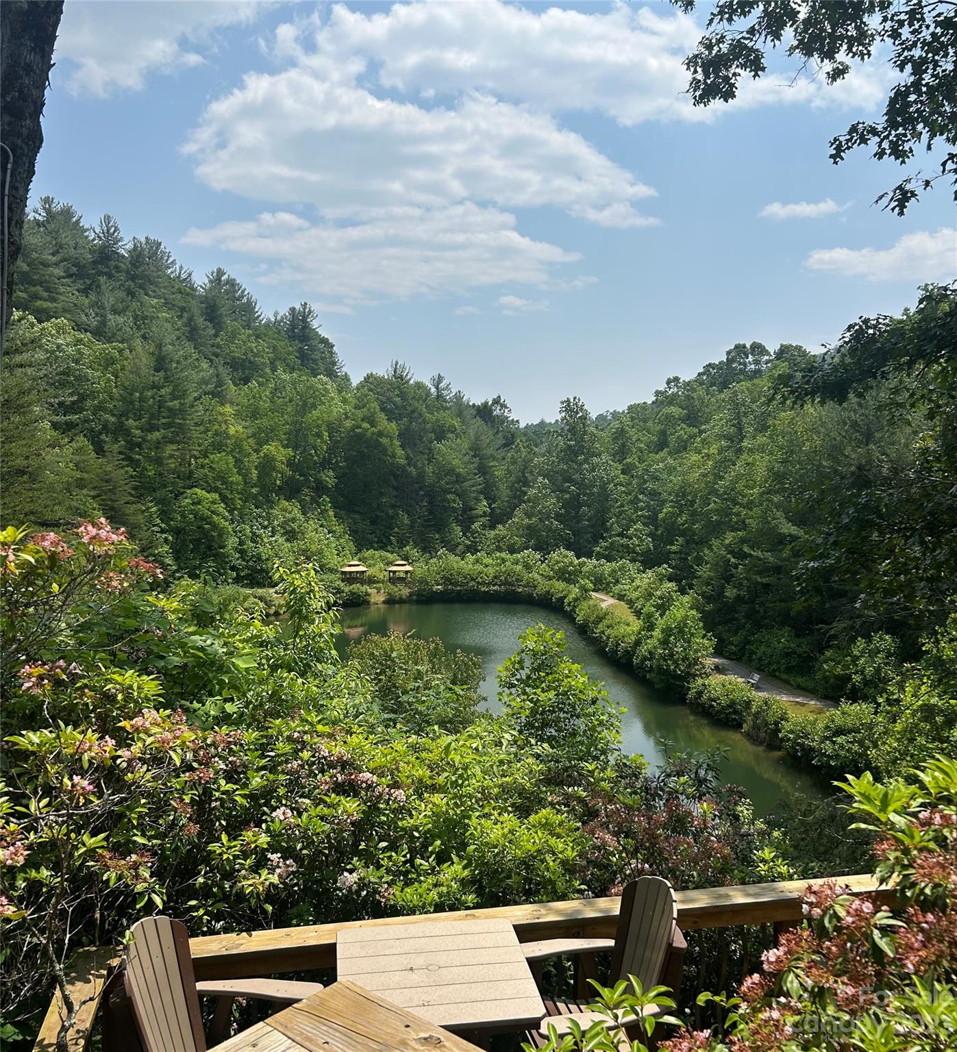 242 Bulltown Drive Purlear, NC 28665 - Photo 17 of 31