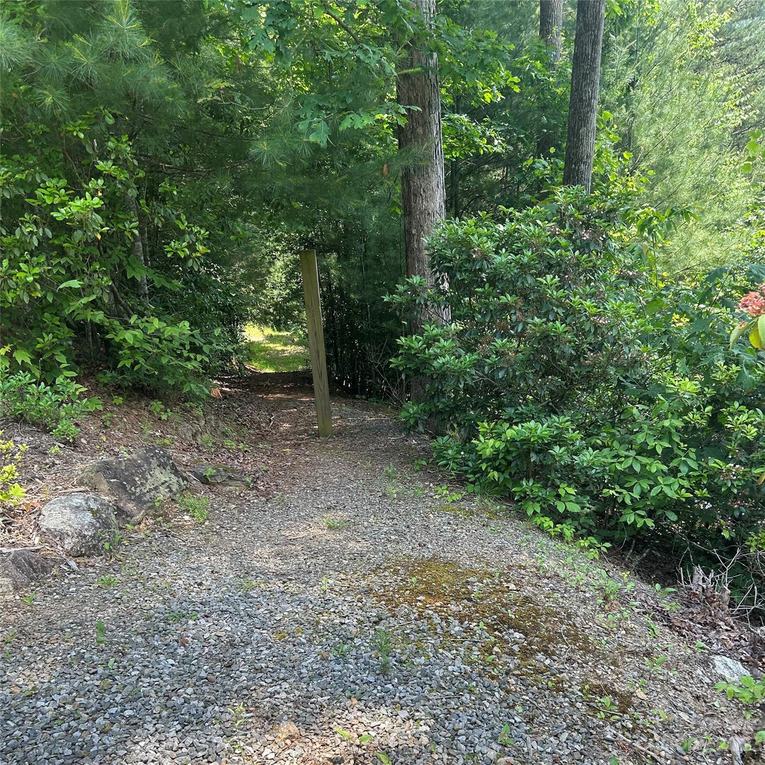 242 Bulltown Drive Purlear, NC 28665 - Photo 18 of 31