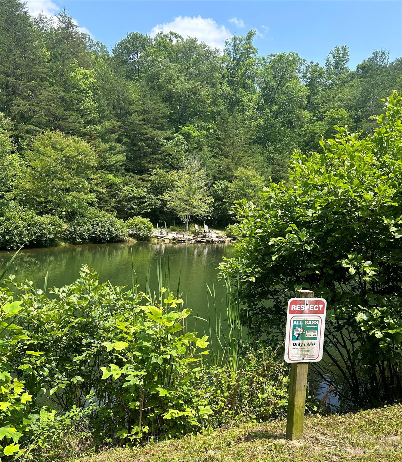 242 Bulltown Drive Purlear, NC 28665 - Photo 21 of 31