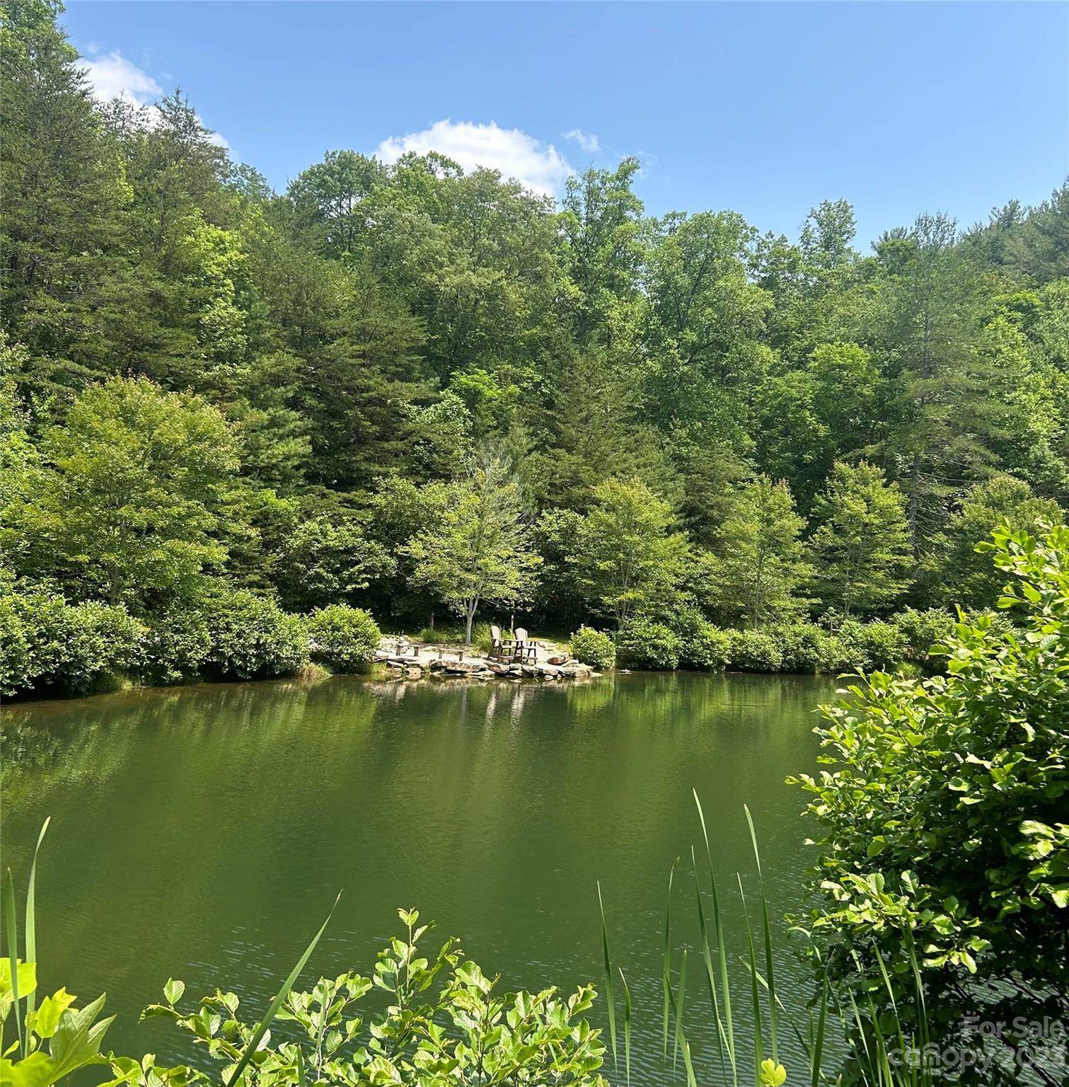 242 Bulltown Drive Purlear, NC 28665 - Photo 22 of 31