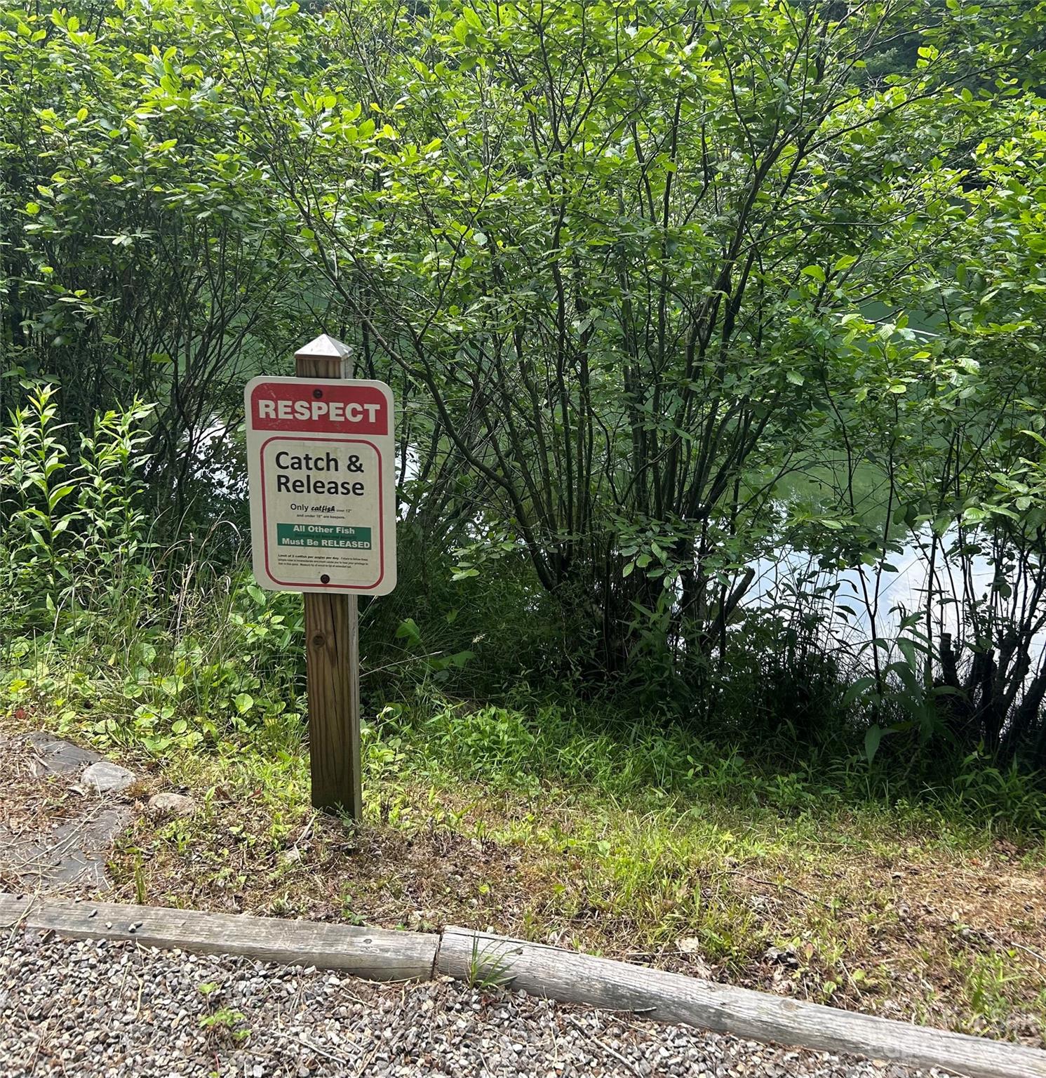 242 Bulltown Drive Purlear, NC 28665 - Photo 26 of 31