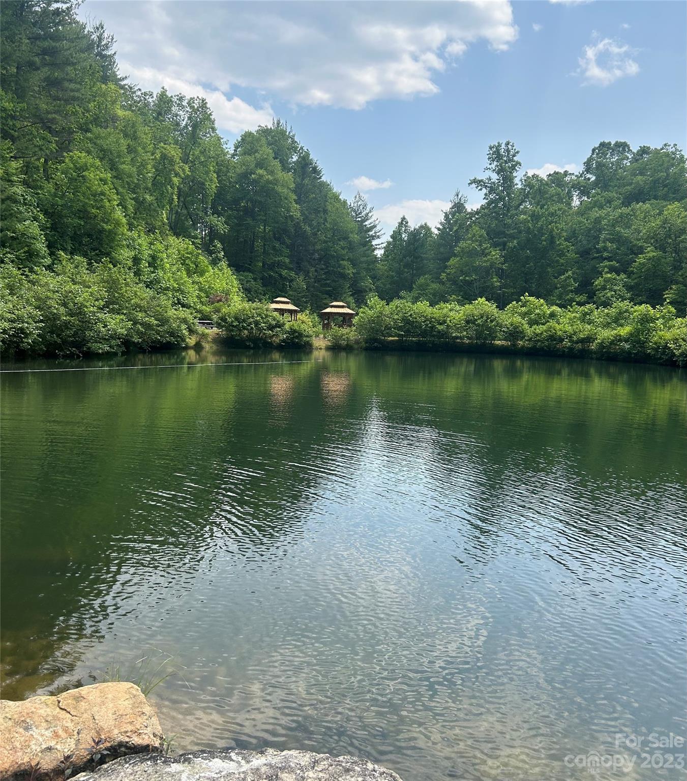 242 Bulltown Drive Purlear, NC 28665 - Photo 28 of 31