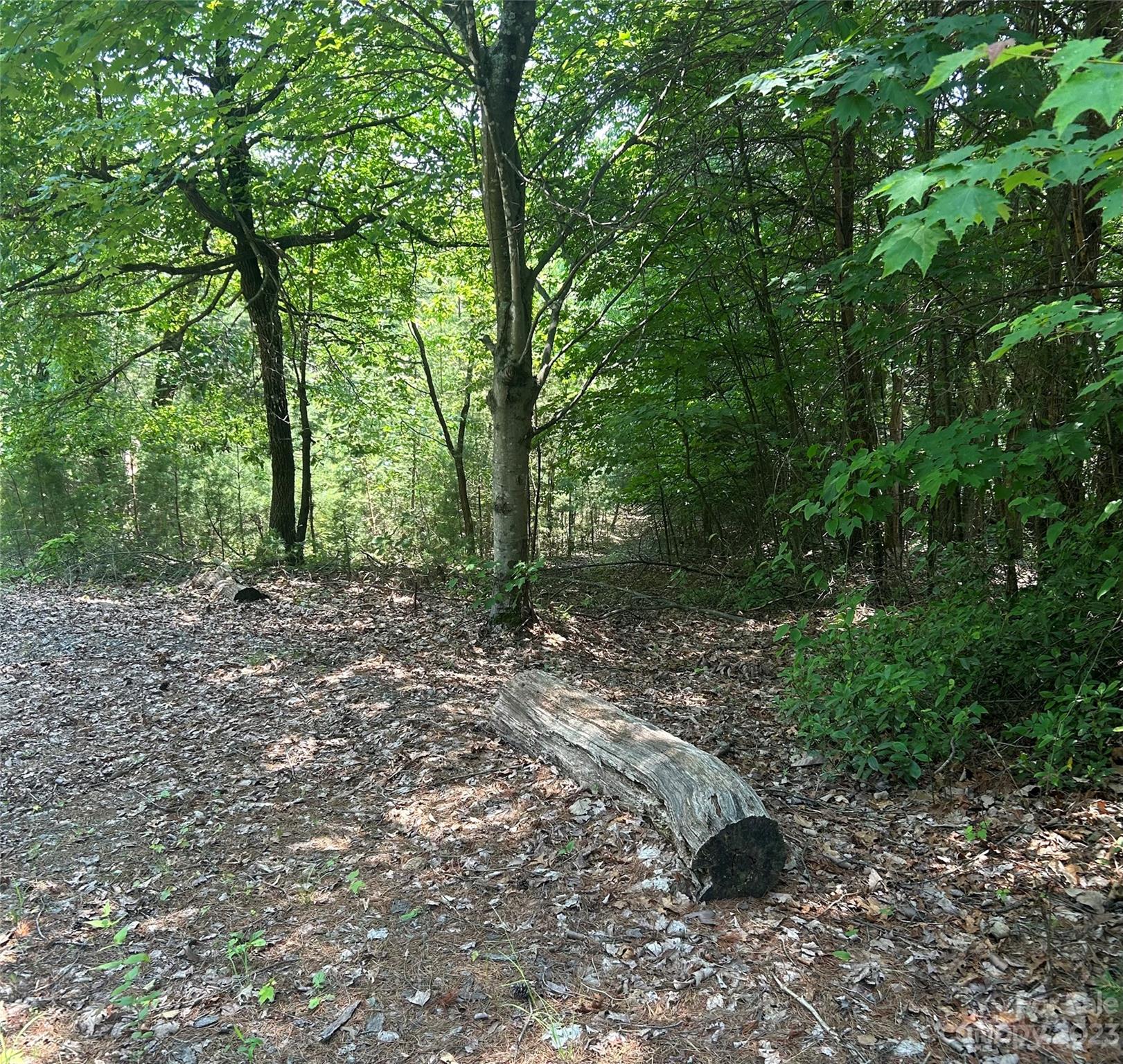 242 Bulltown Drive Purlear, NC 28665 - Photo 3 of 31