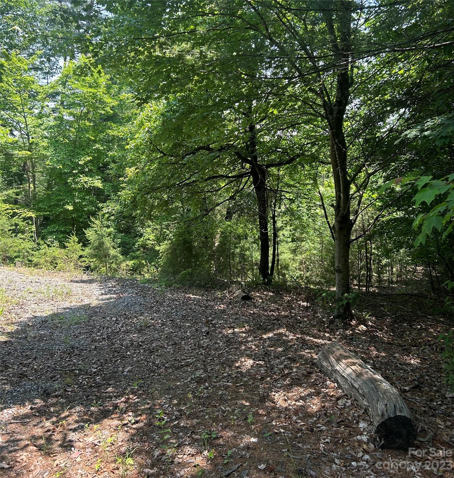 242 Bulltown Drive Purlear, NC 28665 - Photo 4 of 31