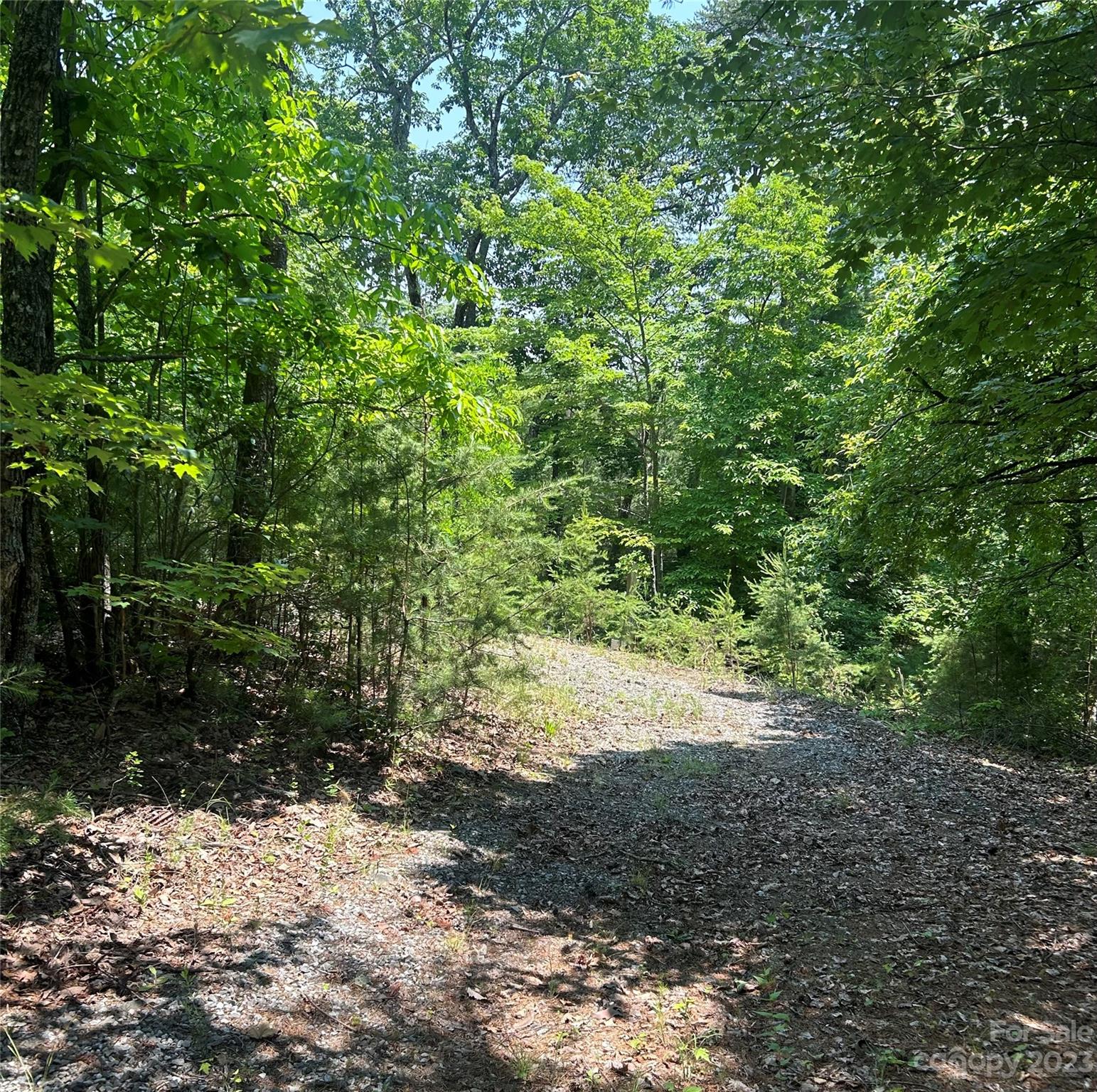 242 Bulltown Drive Purlear, NC 28665 - Photo 5 of 31