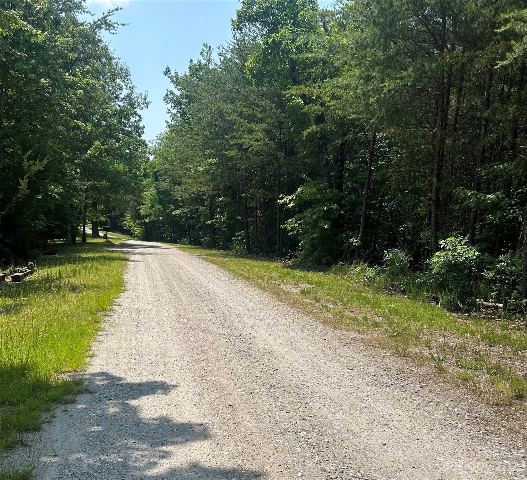 242 Bulltown Drive Purlear, NC 28665 - Photo 7 of 31