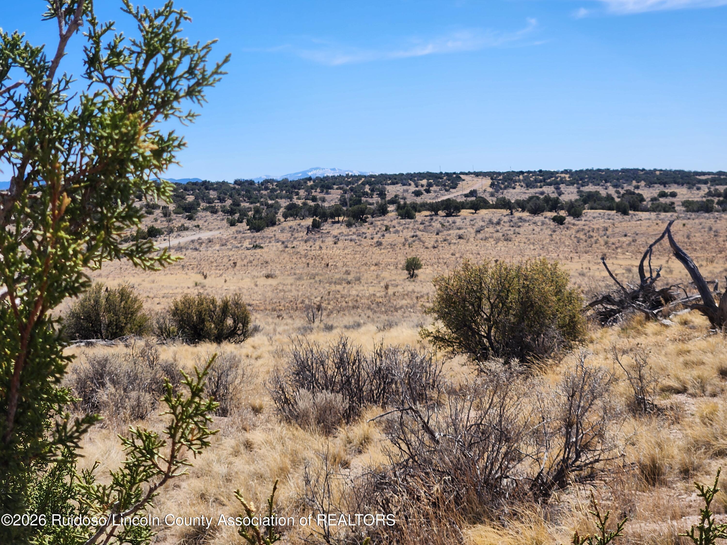 L135 Rnch Vw Loop Carrizozo, NM 88301 - Photo 8 of 15 Gallery Image 8
