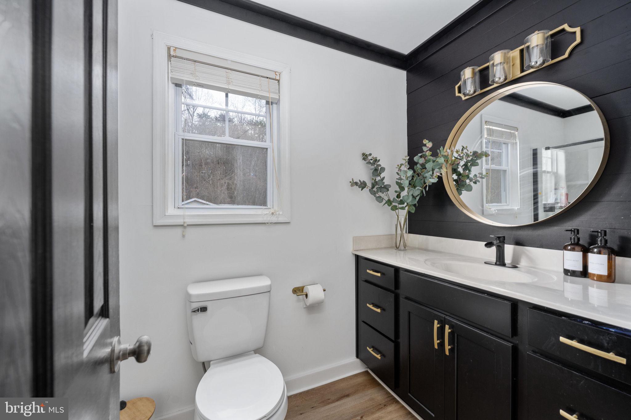 371 Greenbank Road Fredericksburg, VA 22406 - Photo 22 of 54 a bathroom with a toilet a sink and mirror