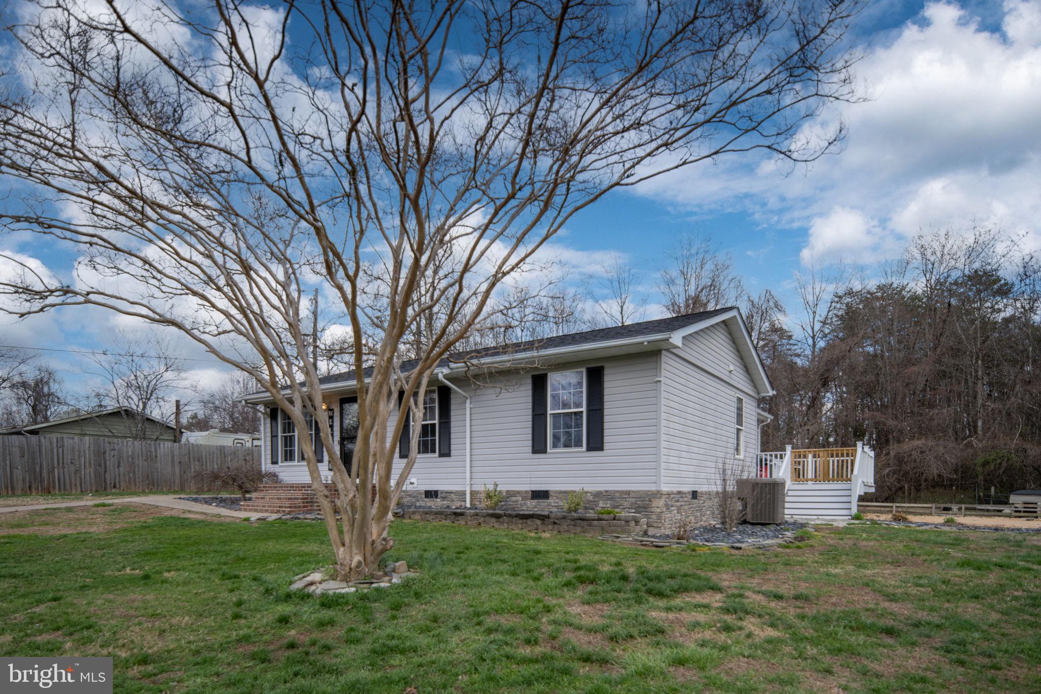 371 Greenbank Road Fredericksburg, VA 22406 - Photo 6 of 54 a backyard of a house with plants and large tree