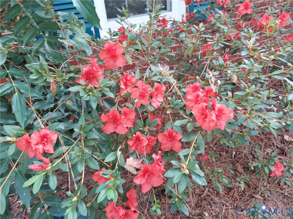 3369 Warner Road Richmond, VA 23225 - Photo 36 of 46