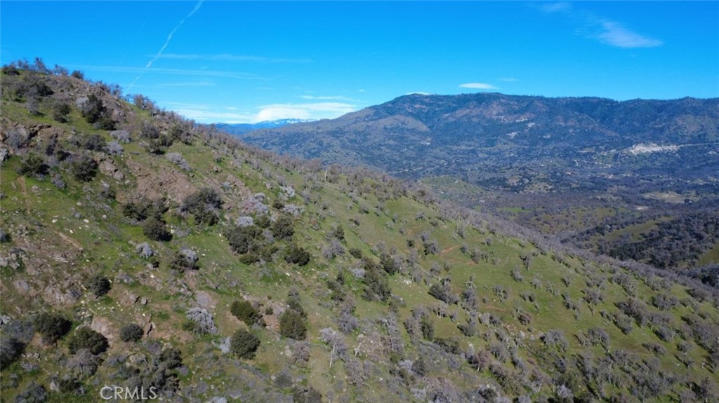 0 Ruth Hill Road Squaw Valley, CA 93675 - Photo 28 of 32