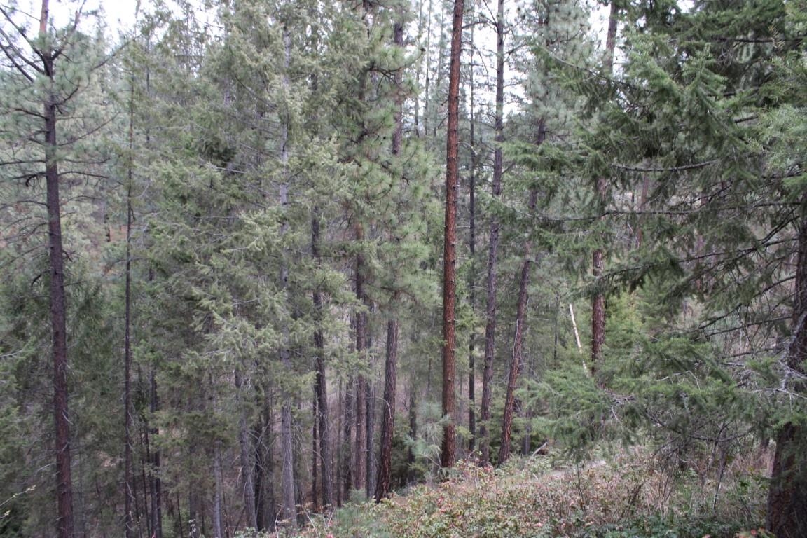 1226 South Aspen Ridge Road Kettle Falls, WA 99141 - Photo 35 of 41