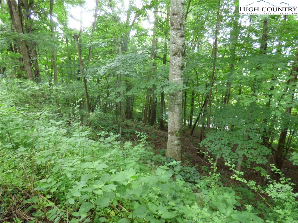 32 Alida Court Boone, NC 28607 - Photo 5 of 7 Gallery Image 5