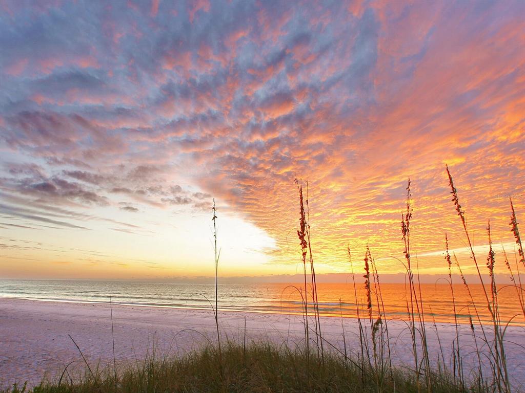 399 Gowdy Road Sarasota, FL 34237 - Photo 63 of 64