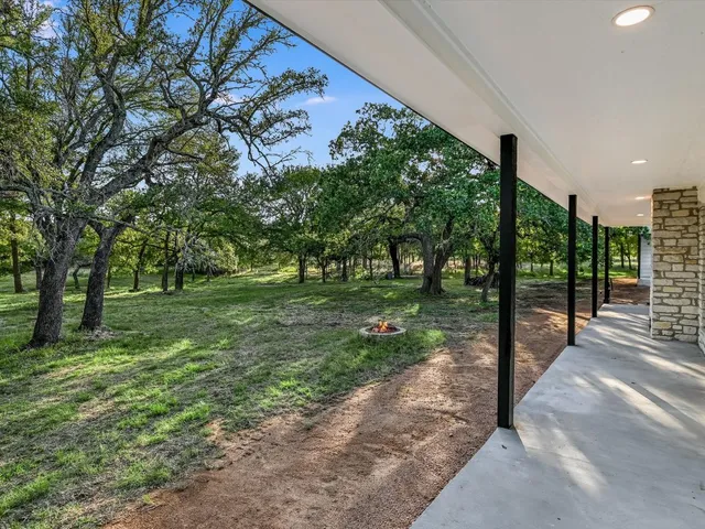 a view of a park with large trees