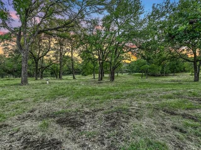 a view of outdoor space with trees all around