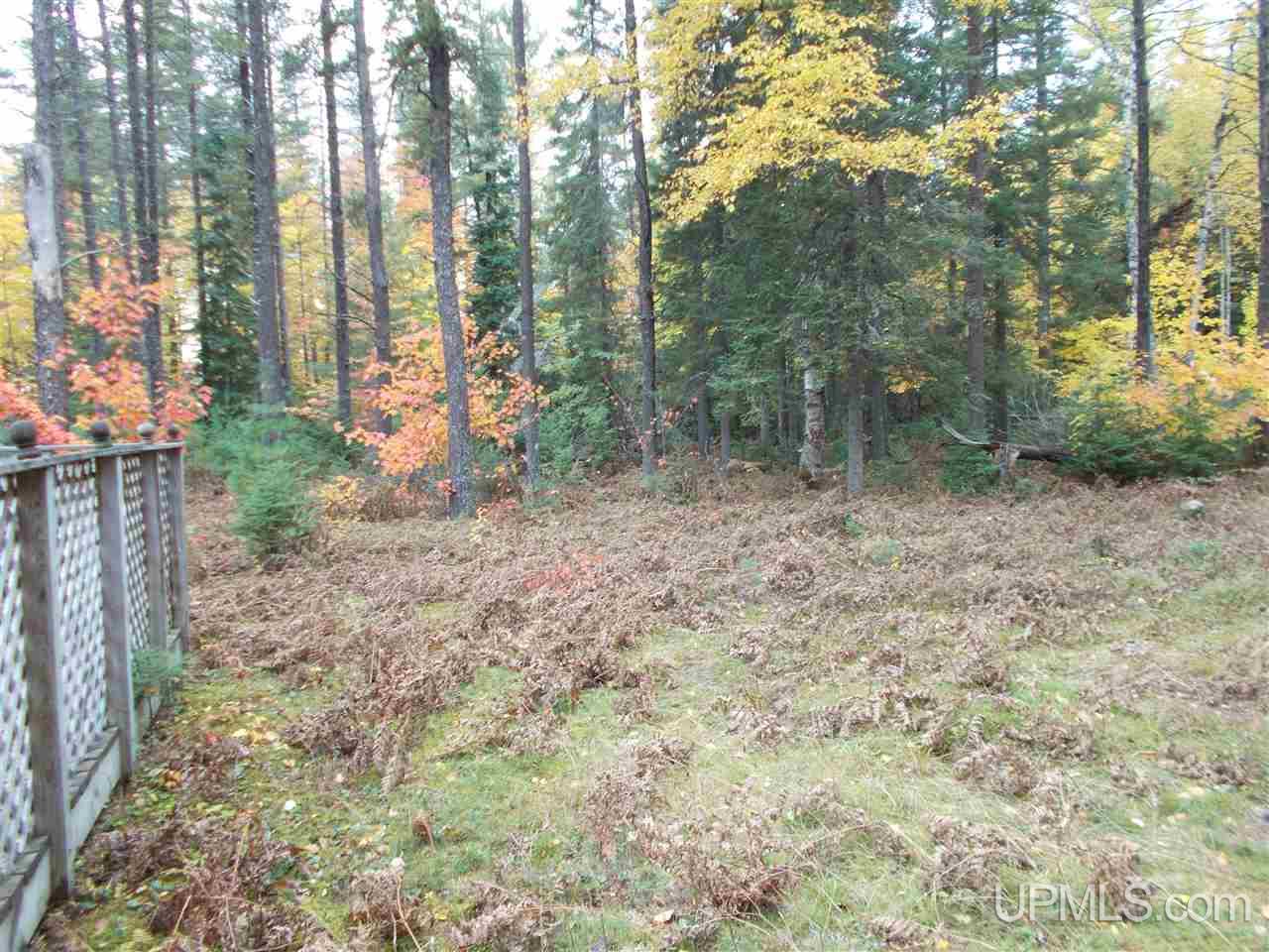 190-acres Clark Creek Road Ishpeming, MI 49849 - Photo 16 of 25 Gallery Image 16