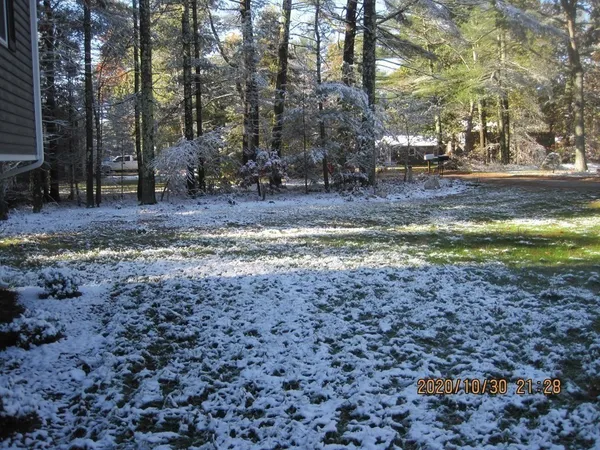 a view of dirt yard with a tree