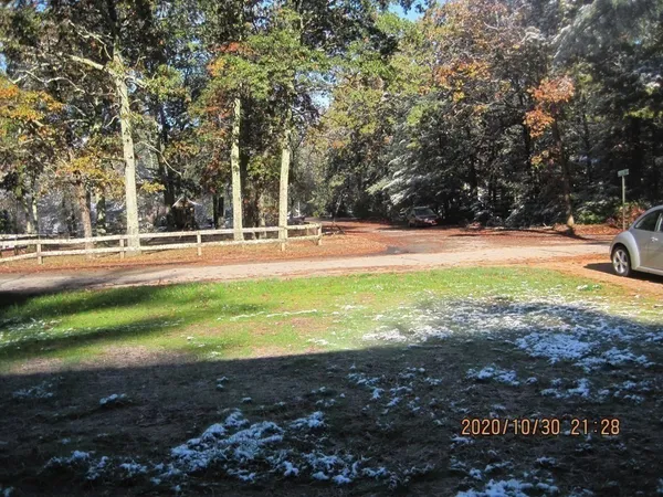a view of a yard with swimming pool and trees