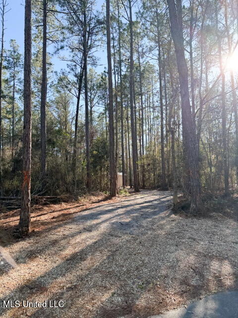271 Howell-Mill Road Lucedale, MS 39452 - Photo 3 of 23 IMG_6822