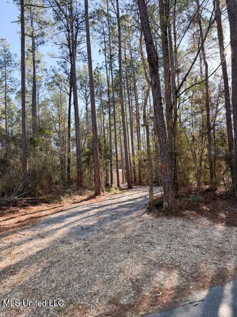 271 Howell-Mill Road Lucedale, MS 39452 - Photo 4 of 23 IMG_6823