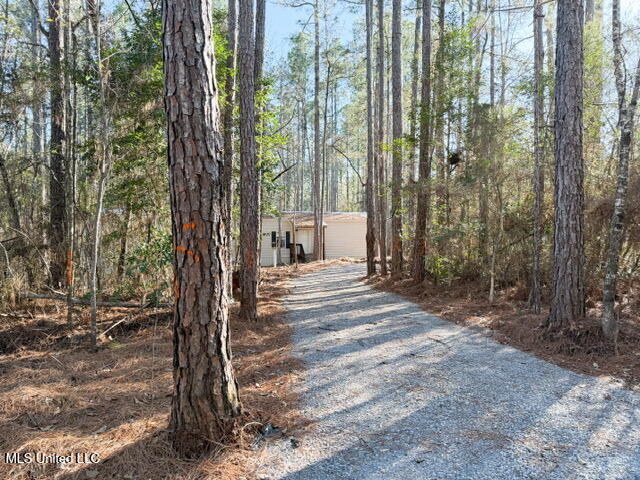 271 Howell-Mill Road Lucedale, MS 39452 - Photo 5 of 23 IMG_6827