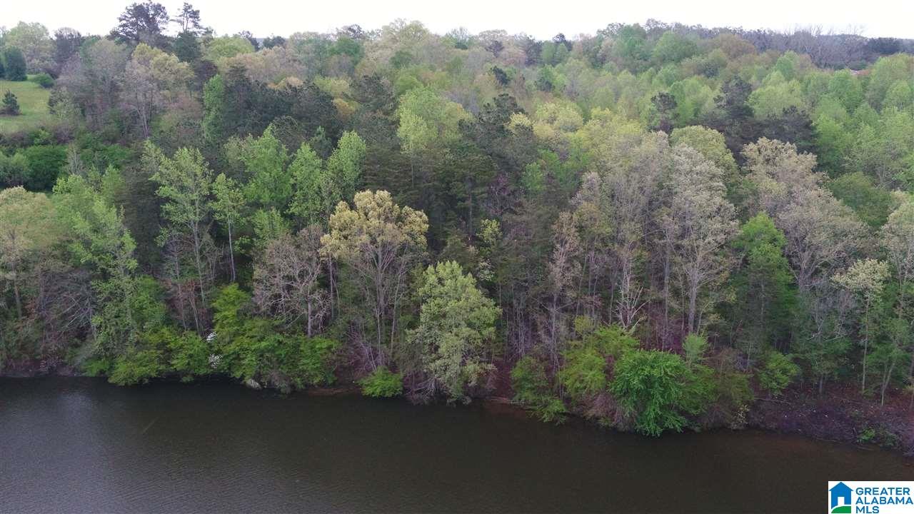 0 Dime Road, Unit 1 20 Haleyville, AL 35565 - Photo 8 of 14