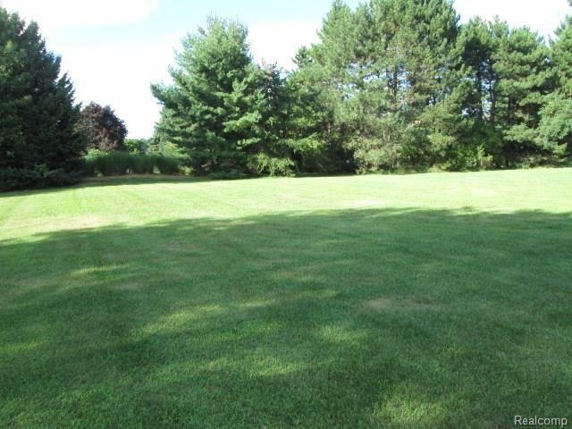 58655 Travis Road New Hudson, MI 48165 - Photo 43 of 45 IMG_9672.JPG
