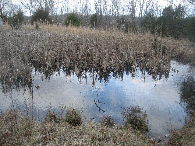 1234 Goose Creek Road Bagdad, KY 40003 - Photo 14 of 23 Photo 14