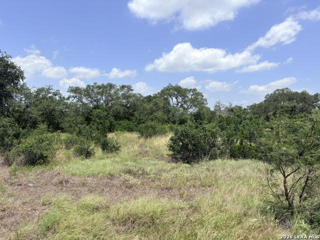359 River Cliff Place Spring Branch, TX 78070 - Photo 7 of 14